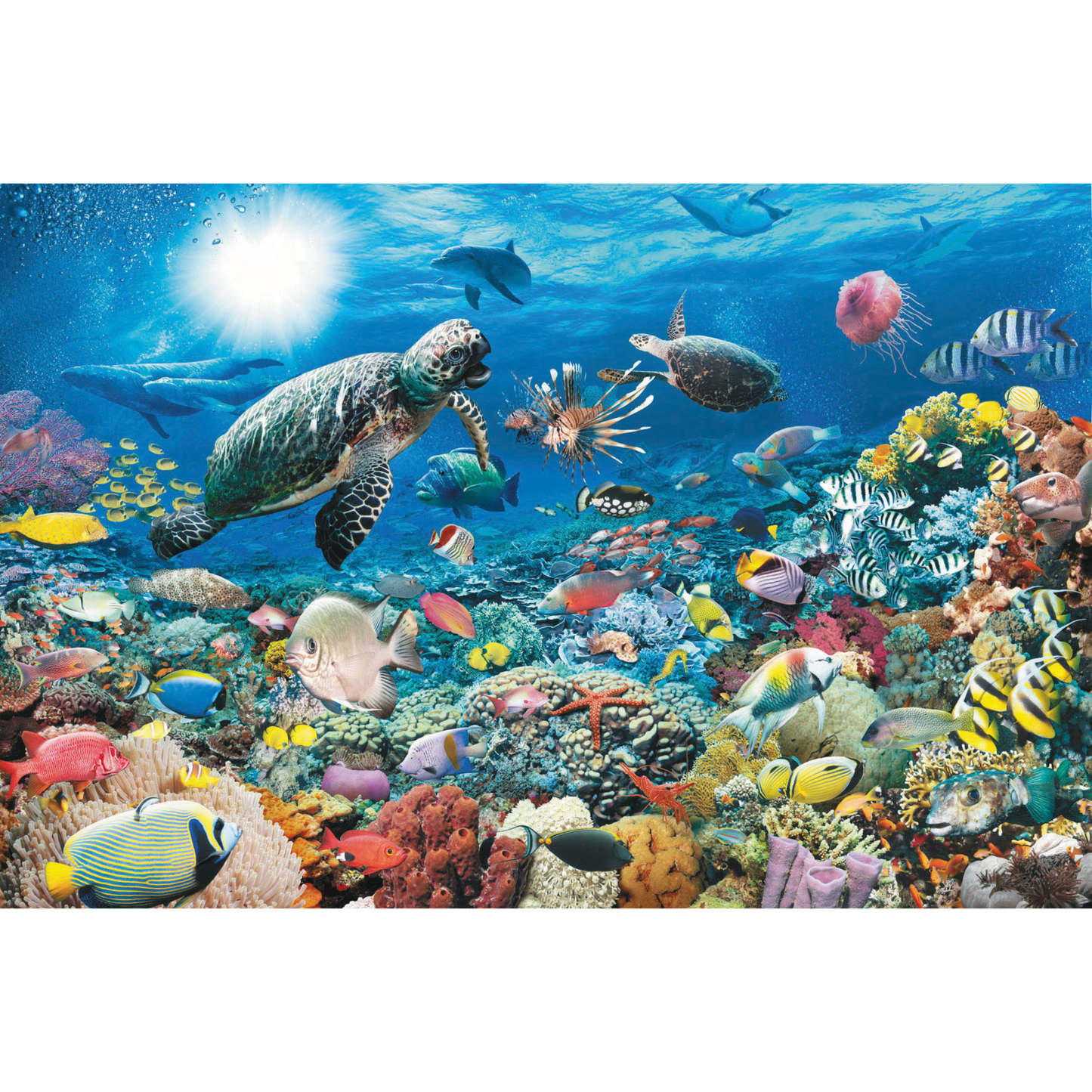 Ravensburger - Beneath the Sea Puzzle 5000 pieces