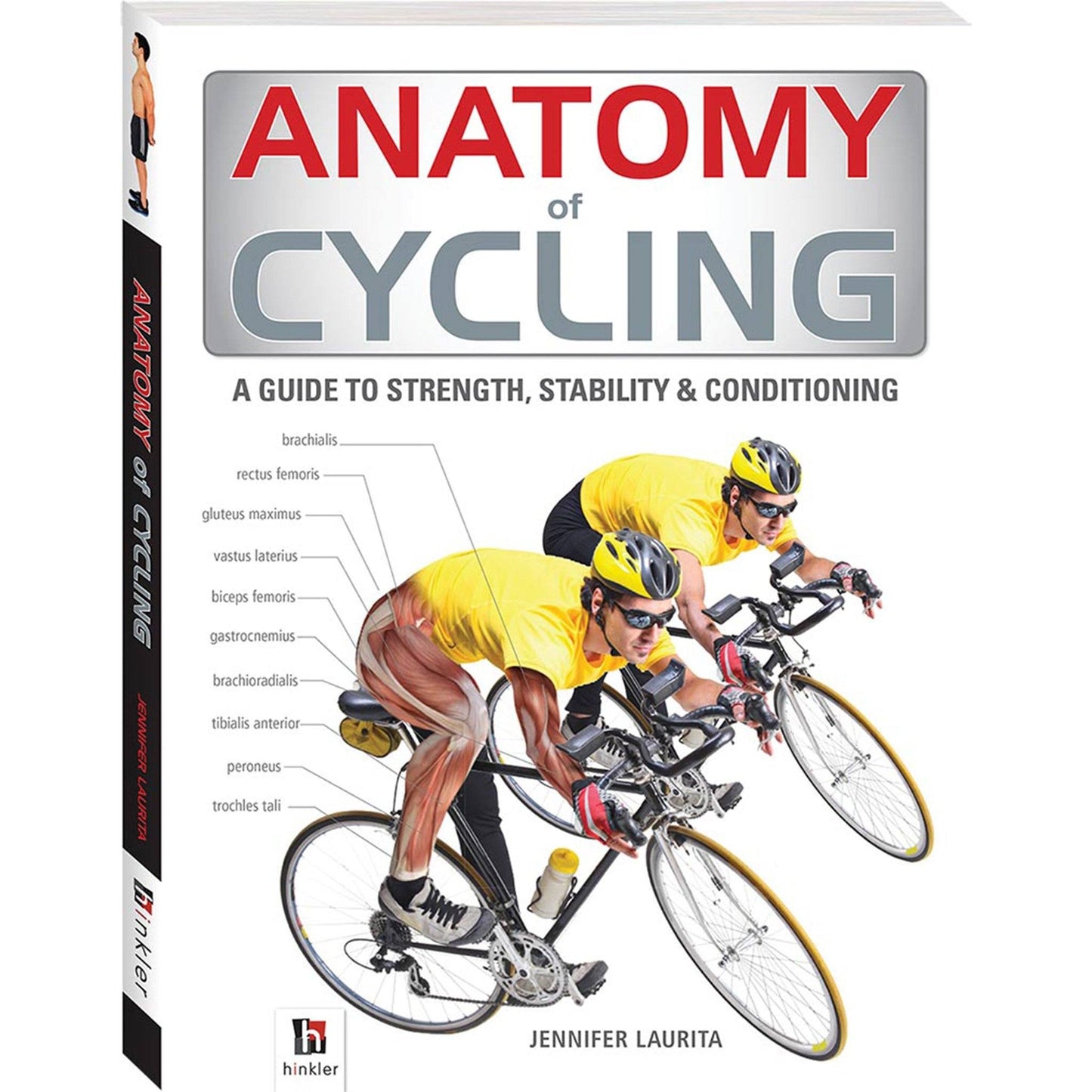 Anatomy of Cycling Book Books Hinkler Books