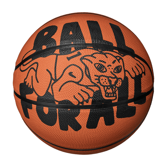 Nike Everyday Playground Official Size 7 Basketball - Ball For All Graphic Amber