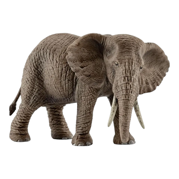 Schleich - African Elephant Female