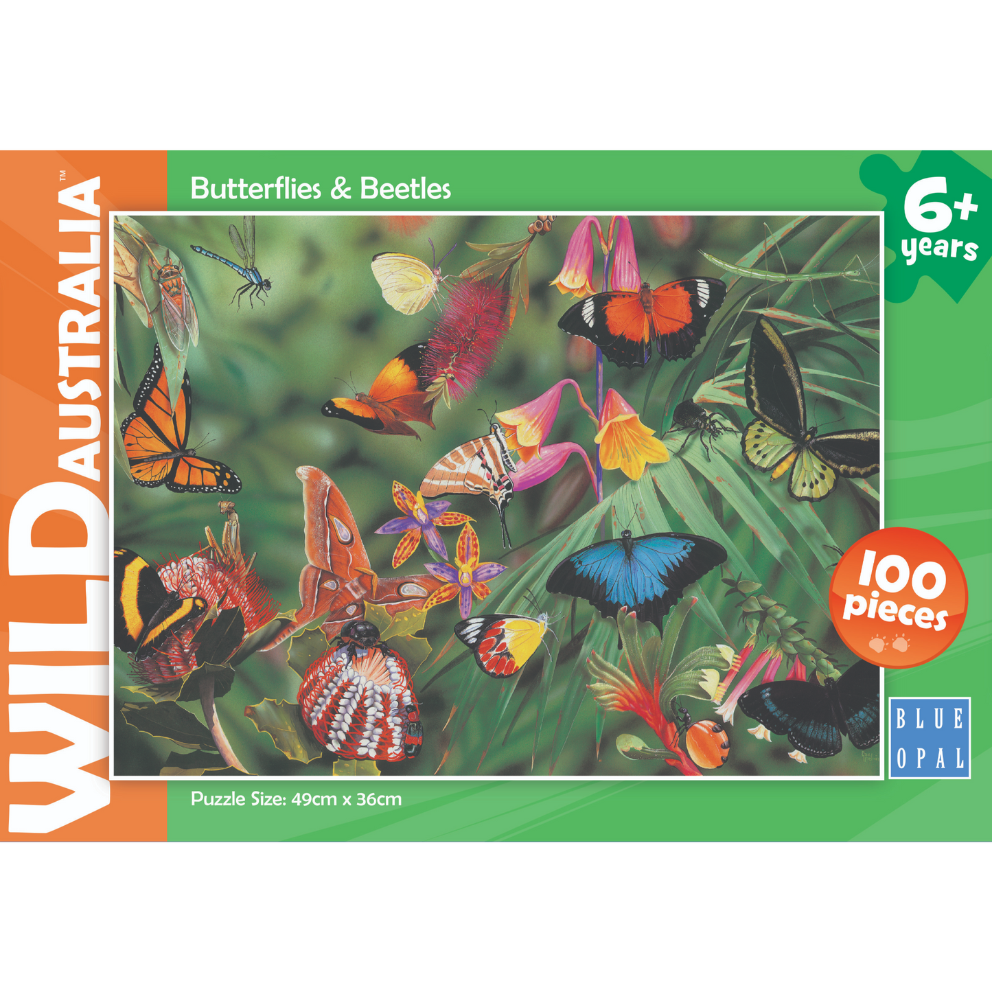 Blue Opal - Wild Aust Butterflies & Beetles 100 pieces