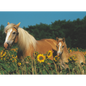 Ravensburger - Horse Happiness Puzzle 200 pieces