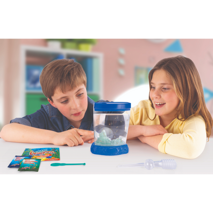 Aqua Dragons - Underwater World Box Kit
