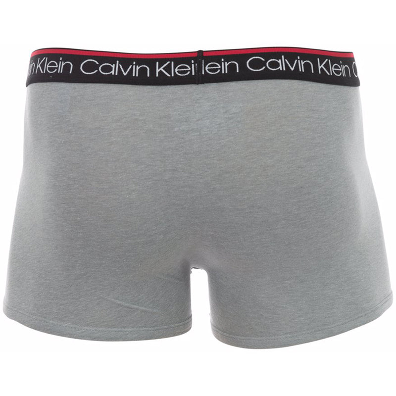 Grey calvin hotsell klein trunks