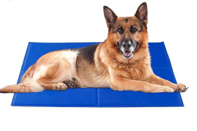 NEW Pawever Dog Bed Heavy Duty Waterproof Large Dog Supplies