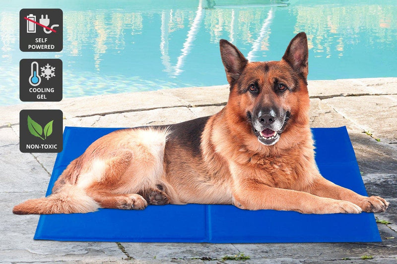 NEW Pawever Dog Bed Heavy Duty Waterproof Large Dog Supplies